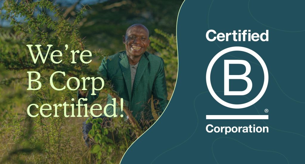 TBT_Blog_BCorp