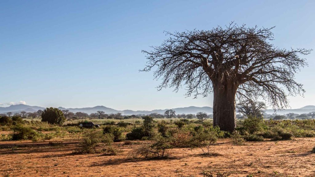 Tanzania-climate