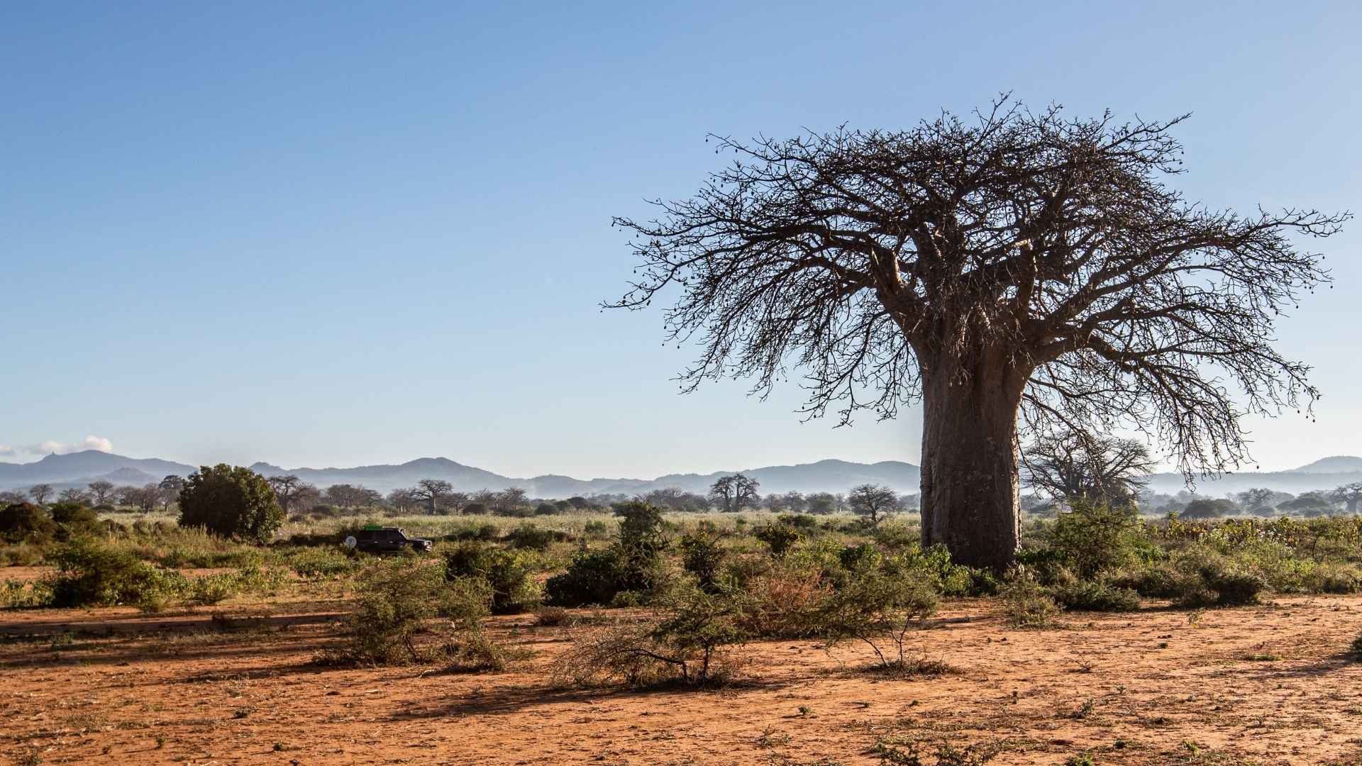 Tanzania-climate
