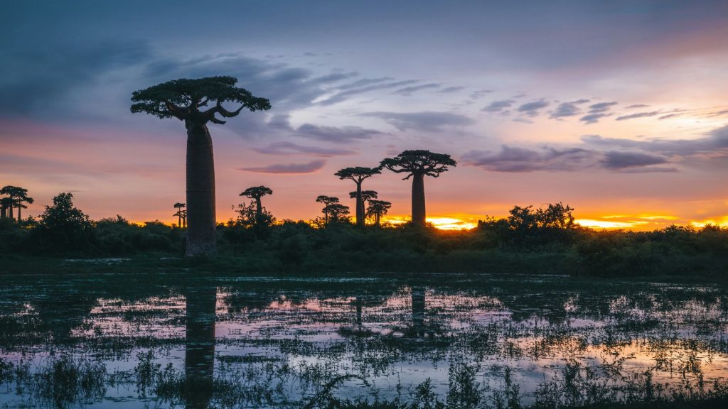 Madagascar