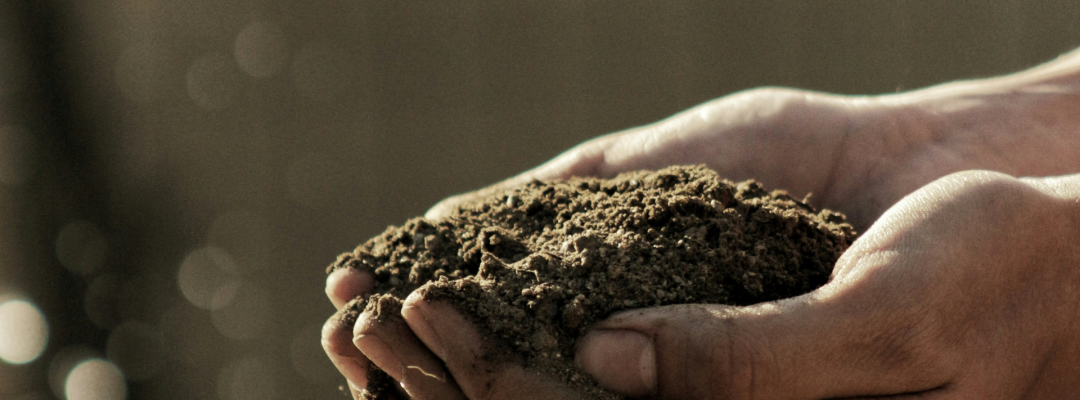 social-enterprise-earth social-enterprise-earth